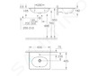 Grohe Essence - Umyvadlo s přepadem 60x49 cm, PureGuard, alpská bílá 3956500H