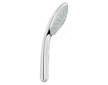 Grohe Euphoria - Sprchová hlavice Rainshower 110, 2 proudy, chrom 27220000