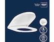 Grohe Euro Ceramic - WC sedátko, SoftClose, alpská bílá 102501SH00