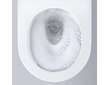 Grohe Euro Ceramic - Závěsné WC se sedátkem Softclose, Rimless, Triple Vortex, alpská bílá 102510SH00