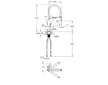 Grohe Feel - Dřezová baterie s flexibilním ramenem, chrom 31489000