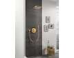 Grohe Rainshower Cosmopolitan - Hlavová sprcha Cosmopolitan 310 s ramenem 38 cm, 1 proud, kartáčovaný Cool Sunrise 26066GN0