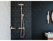 Hansgrohe AddStoris - Polička rohová, kartáčovaný bronz 41741140