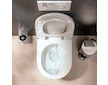 Hansgrohe EluPura S Original - Závěsné WC, Rimless, bílá 60142450