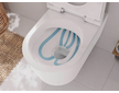 Hansgrohe EluPura S - Závěsné WC se sedátkem SoftClose, AquaFall, SmartClean, bílá 61119450
