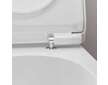 Hansgrohe EluPura S - Závěsné WC se sedátkem SoftClose, AquaHelix, HygieneEffect, bílá 62025450