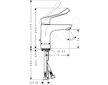 Hansgrohe Focus E2 - Páková umyvadlová baterie 100 s odtokovou soupravou s táhlem, chrom 31911000