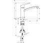 Hansgrohe Focus M41 - Dřezová baterie, chrom 31804000