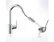 Hansgrohe Focus M41 - Dřezová baterie s výsuvnou sprškou, chrom 31815000
