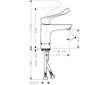 Hansgrohe Focus - Umyvadlová baterie, chrom 31915000