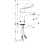 Hansgrohe Focus - Umyvadlová baterie, chrom 31915000