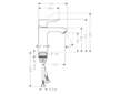 Hansgrohe Metris New - Umyvadlová baterie, chrom 31084000