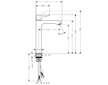 Hansgrohe Metris New - Umyvadlová baterie, chrom 31185000
