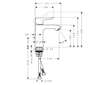 Hansgrohe Metris New - Umyvadlová baterie s výpustí, chrom 31080000
