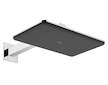Hansgrohe Raindance Alive Q - Hlavová sprcha, 21x34 cm, 2 proudy, EcoSmart, chrom 24551000