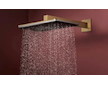 Hansgrohe Raindance Alive Q - Hlavová sprcha, 21x34 cm, 2 proudy, kartáčovaný bronz 24530140