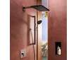 Hansgrohe Raindance Alive Q - Hlavová sprcha, 21x34 cm, EcoSmart, chrom 24531000