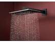Hansgrohe Raindance Alive Q - Hlavová sprcha, 21x34 cm, kartáčovaný černý chrom 24530340