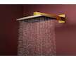 Hansgrohe Raindance Alive Q - Hlavová sprcha, 21x34 cm, leštěný vzhled zlata 24530990