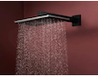 Hansgrohe Raindance Alive Q - Hlavová sprcha, 21x34 cm, matná černá 24530670