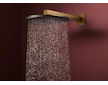 Hansgrohe Raindance Alive S - Hlavová sprcha, průměr 30 cm, kartáčovaný bronz 24520140