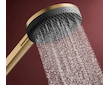 Hansgrohe Raindance Alive Select S - Set sprchové hlavice, držáku a hadice, 3 proudy, EcoSmart, kartáčovaný bronz 24611140