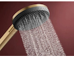 Hansgrohe Raindance Alive Select S - Set sprchové hlavice, tyče a hadice, 3 proudy, EcoSmart, kartáčovaný bronz 24603140