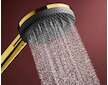 Hansgrohe Raindance Alive Select S - Set sprchové hlavice, tyče a hadice, 3 proudy, EcoSmart, leštěný vzhled zlata 24601990
