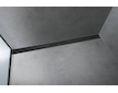 Hansgrohe RainDrain Flex - Lineární sprchový žlab s nerezovým roštem 1000, ke stěně, zkrátitelný, matná černá 56053670