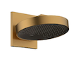 Hansgrohe Rainfinity - Hlavová sprcha, průměr 25 cm, kartáčovaný bronz 26226140