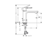 Hansgrohe Rebris E - Umyvadlová baterie s výpustí, chrom 72557000