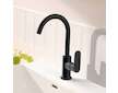 Hansgrohe Rebris S - Umyvadlová baterie s výpustí a otočným výtokem, matná černá 72536670