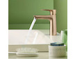 Hansgrohe Talis E - Umyvadlová baterie s výpustí, kartáčovaný bronz 71710140