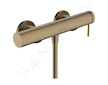 Hansgrohe Tecturis S - Sprchová baterie, kartáčovaný bronz 73622140