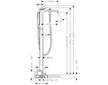 Hansgrohe Vivenis - Vanová baterie do podlahy, s příslušenstvím, kartáčovaný bronz 75445140