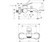 Hansgrohe Vivenis - Vanová baterie, kartáčovaný bronz 75423140
