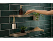 Hansgrohe WallStoris Planet Edition - Nástěnná tyč 70 cm, béžová 28911210