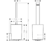 Hansgrohe WallStoris - WC štětka s držákem, matná bílá 27927700