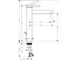 Hansgrohe Zesis S - Umyvadlová baterie s výpustí, EcoSmart+, CoolStart, matná černá 74730670