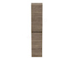 Ideal Standard Eurovit - Vysoká skříňka, 150x30x24 cm, 2 dvířka, panty L/P, ořech R0268Y9