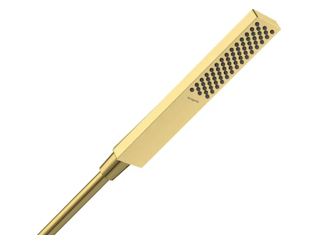 Hansgrohe Pulsify E - Sprchová hlavice, EcoSmart, leštěný vzhled zlata 24320990