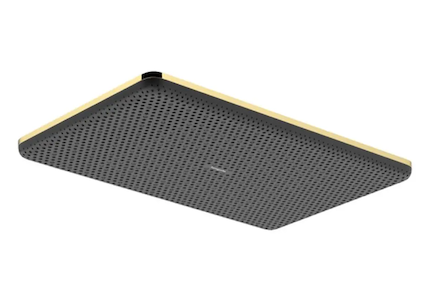 Hansgrohe Raindance Alive Q - Hlavová sprcha, 21x34 cm, EcoSmart, leštěný vzhled zlata 24531990