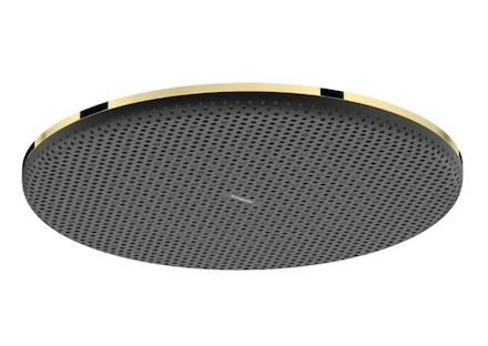 Hansgrohe Raindance Alive S - Hlavová sprcha, průměr 30 cm, EcoSmart, leštěný vzhled zlata 24521990