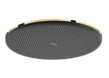 Hansgrohe Raindance Alive S - Hlavová sprcha, průměr 30 cm, EcoSmart+, leštěný vzhled zlata 24523990