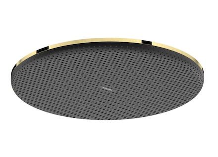 Hansgrohe Raindance Alive S - Hlavová sprcha, průměr 30 cm, EcoSmart+, leštěný vzhled zlata 24523990
