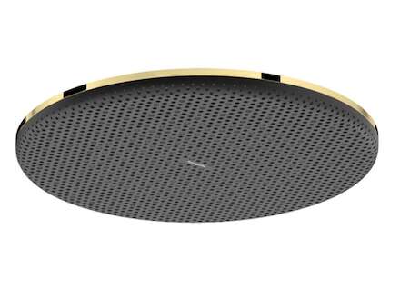Hansgrohe Raindance Alive S - Hlavová sprcha, průměr 30 cm, leštěný vzhled zlata 24520990