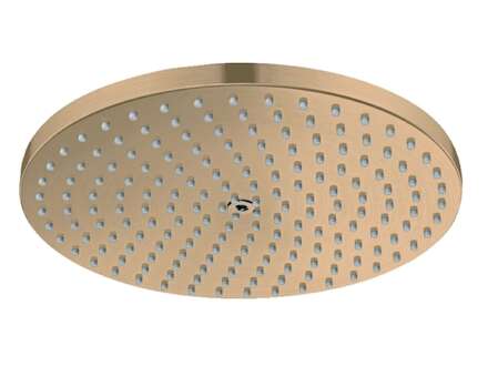 Hansgrohe Raindance S - Hlavová sprcha, průměr 24 cm, EcoSmart+, kartáčovaný bronz 28821140