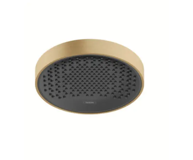 Hansgrohe Rainfinity - Hlavová sprcha 250, 1 proud, kartáčovaný bronz 26228140
