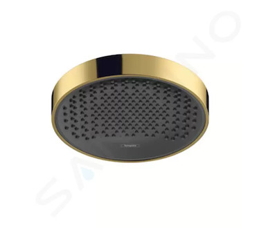 Hansgrohe Rainfinity - Hlavová sprcha 250, 1 proud, leštěný vzhled zlata 26228990