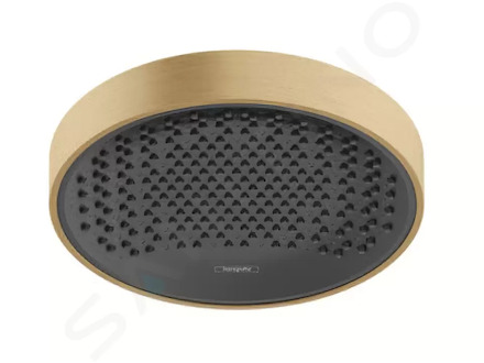 Hansgrohe Rainfinity - Hlavová sprcha 250, EcoSmart, kartáčovaný bronz 26229140